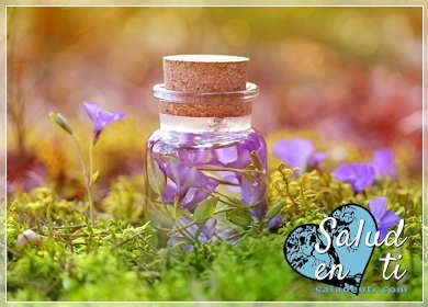 Herbolario con esencias naturales y perfumes Aranjuez Herbolario en Aranjuez con productos de aromaterapia, esencias y perfumes
